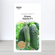 Насіння огірка бджолозапильного Кайтек F1, Польща, Marvel, 3г, 90-100 насінин